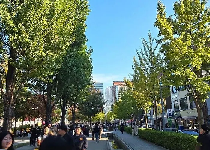 홍대 한강 10분 종로 이태원 20분, 새절역 신축 오피스텔 최대 4인 서울특별시